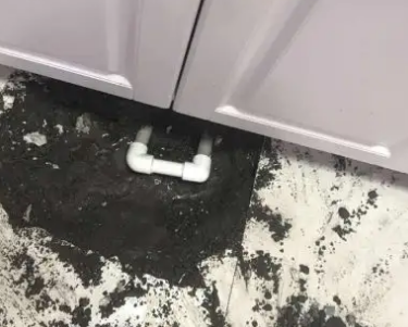 兴化查漏水哪家好